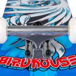 Birdhouse komplett gördeszka Hawk Spiral 7.75"