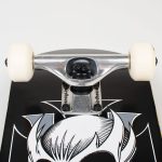 Birdhouse komplett gördeszka Hawk crest 8.00"