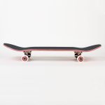 Birdhouse komplett gördeszka skull 2 8.25"