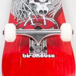 Birdhouse komplett gördeszka skull 2 8.25"