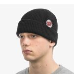 Santa Cruz beanie Daylight Dot Beanie