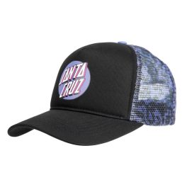 Santa Cruz control dot sapka black / purple