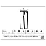 Santa Cruz pant chino classic dot (black)