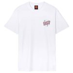 Santa Cruz tee Desert Tripper white