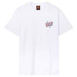 Santa Cruz tee Desert Tripper white