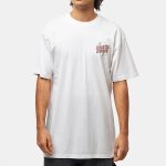 Santa Cruz tee Desert Tripper white